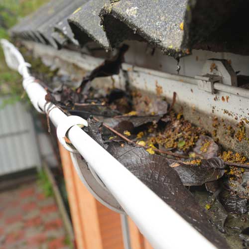 Robs Removals clogged gutter